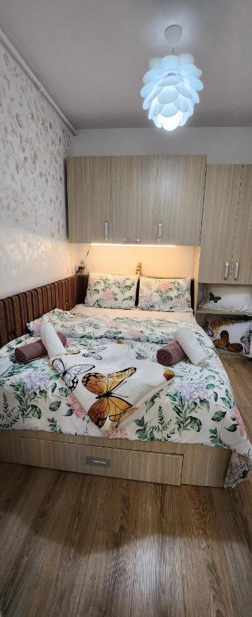 Butterfly Apartment Timisoara Ngoại thất bức ảnh
